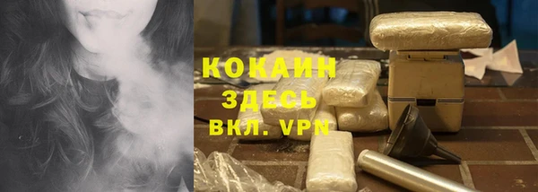 индика Протвино